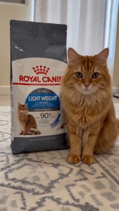 Royal Canin Light Weight Care 1.5kg Adult Dry Cat Food | Feline Care Nutrition for Weight Management & Control | Helps Maintain Muscle Mass & Urinary Health [New Stock]
