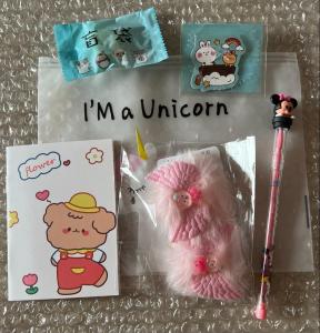 Student Journal Stationery Box 随心配文具盲袋