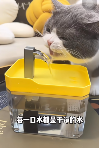 Smart Pet Bowl Loop Mute Pump Water Fountain For Cat Dog Automatic Water Dispenser For Cat
