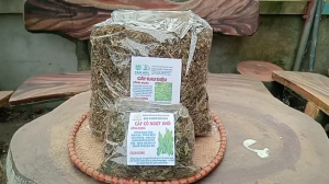 100g cây rau diệu sấy khô TẶNG 50G CỎ NGỌT