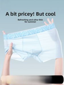 MiiOW | Ultra-Thin Ice-Silk Boxer Shorts For Men Breathable Comfortable Briefs Anti-Bacterial Nylon Fabric Summer Collection MiiOW Brand
