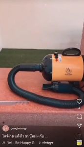 PMT Pet dryer Fast Drying 2800W low noise Dog and Cat Household Electric Hair Dryer Hair Dryer Quick COD