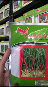 Benih Cabe Merah Unggul Sempurna Biji Cabai Pedas Bibit Garuda Seed