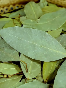 Loherbs 香叶 / 月桂叶 Dried Bay Leaves/ Bay Leaf/ Daun Salam Kering