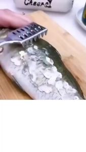 Alat Pembersih Pengupas Sisik Ikan Stainless Steel Alat Pengupas Kerokan Sisik Ikan Praktis