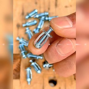 CEO 🇲🇾 Jack Nuts Screw Anchors Petal Screw Expansion Plugs Expansion Clamp Petal Rivet Lock Bolt Board Wall Fasteners