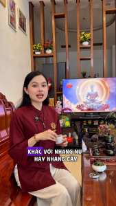 Nhang vân mây trầm hương sạch Sơn Mộc Hương - Trầm hương vân mây thơm dịu nhẹ xông thơm nhà