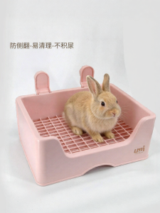 PET AND YOU | Anti-Tip Large Rabbit Toilet