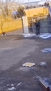 Repeller for Pet Dogs Ultrasonic No Dog Noise Barking Device Dog Repeller Ultrasonic Dog Bark Repellent Devices Training