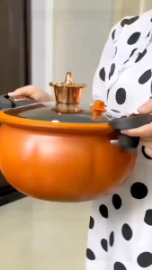 Micro Pressure Cooker Multi Functional Pumpkin Pot Large Capacity Soup Pot Stew Pot Non Stick Pot Pressure Cooker Household Lnduction Cooker Gas Stove