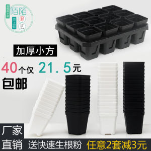 Thickened Octagonal 7 Square Small White Black Square Succulent Large Square Flower Pot Plastic Bracket Leaf Insert Nursery Basin Package