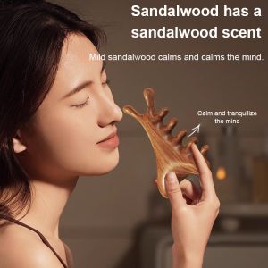 Multifunctional Four-In-One Sandalwood Comb Head Therapy Scraping Dredging Meridians Artifact Face Eye Scalp Massage Comb四合一檀木梳