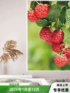 Healthy Fruit Themed Vertical Calendar 2026 Hanging Wall Art Natural Design No Tear Circle Print New Style Home Decor