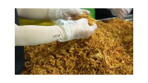 (Túi) Khô Heo Cháy Tỏi 150g – Vị Mặn Ngọt Hòa Quyện Tỏi Giòn Thơm Lừng – Thương hiệu DNA