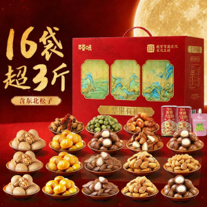 BE&CHEERY | Premium Elderly Gift Box of Mixed Nuts Containing Pine Nuts 1808g