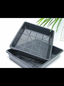 ถาดเพาะกล้า ถาดเพาะต้นอ่อน ทึบ และ เจาะรู ถาดเพาะเมล็ด แยกกล้า