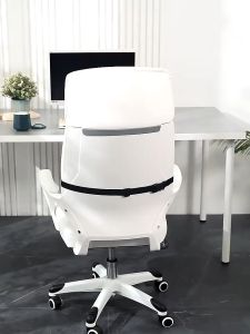 Gối tựa lưng massage Ema cao su non dành cho dân văn phòng và lái xe thiết kế công thái học chống đau mỏi- Đệm tựa lưng dài tích hợp massage thư giãn - Lazada