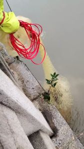 jala udang mata jaring ikan laut tangkul ketam empat segi Jaring pemutus tradisional lama jaring pemutus tangan jaring pemutus tangan jaring memancing boleh membuka jaring berputar atas jaring baling jaring pemutus tangan mesh kecil