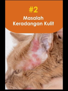 All the fleas on your pet are eliminated！！AK Ubat kutu kucing Bed bug killer Ubat kutu kucing cat Plant extract pet-safe suitable for various scenarios.狗狗驱虫药 猫咪驱虫药