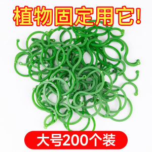 Plastic Gardening Band Plant Ties Cucumber Eggplant Fixing Clips Greenhouse Vine Support Buckle Garden Supplies