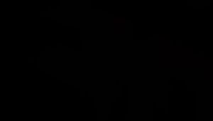 VC Shop B Solution (1box 10 Sachets) 蜂蜜 活力饮 【QR扫码验证 QR Scan】100％原装正品 ( 一盒 10包)