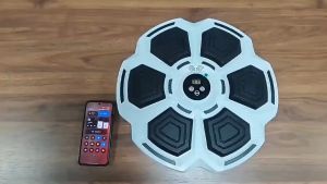 Thiết Bị Tập Boxing Kết Nối Bluetooth Phát Nhạc Tại Nhà Dụng Cụ Tập Gym Chuyên Dụng Máy Đấm Bốc Phát Nhạc Treo Tường