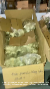 Đùm Overtop 24-24lỗ căm thẳng mã 1002 đùm road đĩa sử dụng ty ống cối HG 11speed dành cho xe đạp