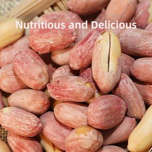 Savory Original Multi-flavored Garlic Peanuts Non-fried Snacks