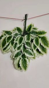 COD DAUN GERIGI CABANG 3 ARTIFICIAL DEKORASI