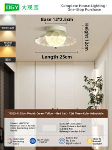 DGY | Corridor Cream Style Eye-protective Ceiling Light