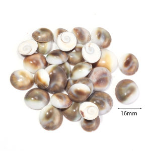 1 Box/Bag Sea Shells 466pcs Spiral Shell Beads Undrilled Tiny Sea Shell Ocean Spiral Seashells Miniature Shells