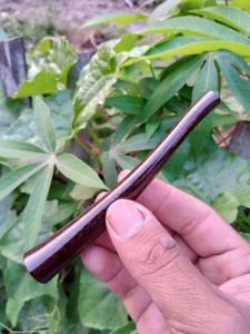 Pipa pirok kayu gali asem super