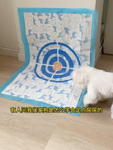 HIPIDOG Pet Training Pads 7-Layer Thickening Disposable Pee Pad Diaper for Dogs Cats Rabbits Birds & Small Animals