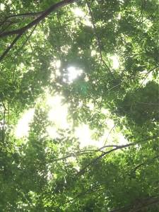 利仁绵绵冰沙机刨冰机家用碎冰机电动水果冰淇淋多功能制冰机自动