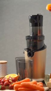 SLOW JUICER ECOHOME ESJ 999 New Alat Pengekstrak Buah - 05 Liter
