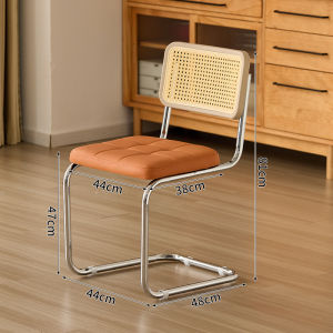 MU FENG ZHI NAN | Luxurious And Comfortable Plastic Rattan Floating Dining Chair