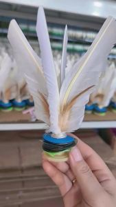 OXO Bulu Angsa Besar Shuttle Putih Dewasa Kecergasan Latihan Kanak-Kanak dan Pelajar Sekolah Rendah Menendang Tendon Bulu Sukan Bulu Ayam Shuttle Tali Pinggang Pemprosesan