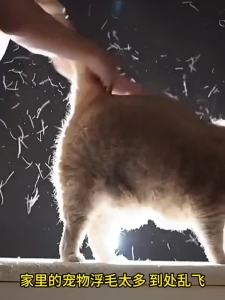 HELLOLEIBOO | Tangling Removing Pet Comb