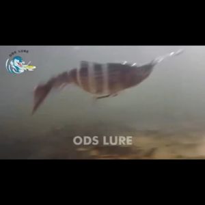 Kail Pancing Bentuk Ikan Hidup: Pilihan Terbaik untuk Pemula