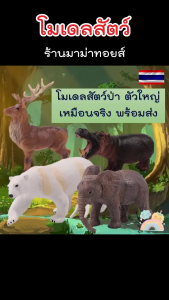 (COD) โมเดลนก ของเล่นเสริมพัฒนาการ มีหลายแบบ ได้แก่ นกอินทรีย์ นกฮูก นกแห้ว พร้อมส่งจากไทย