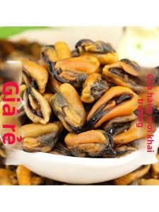 Nguyên Liệu Sò Điệp Khô 500g
