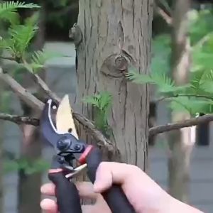 | 🥇คุณภาพเยอรมัน🥇PYLEASกรรไกรตัดกิ่ง กรรไกรตัดกิ่งไม้ ที่ตัดกิ่งไม้ เหล็กนำเข้า SK-5 ความแข็งแรงสูง ตัดกิ่งขนาด 40mm สปริงในตัว ล็อคนิรภัย.กรรไกร ตัดกิ่ง กรรไกรตัดหญ้า คีมตัดกิ่งไม้ กันไกรรตัดกิ่ง กรรไกรแต่งกิ่ง มีดตัดกิ่งไม้ ที่ตัดกิ่