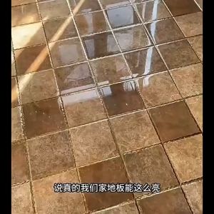 500ml Wood Cleaner Wood Polish Shine Mildew Remover Wood Polisher For Cleaning