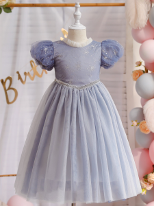 Baby Girl Elsas Princess Dress Summer Thin Frozen Elsa Dress Little Children Elsa Dress