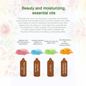 Little Turtle Soap Handmade Soap Turtle Soap Childrens Soap Bath Cute Fun Fragrance Soap Nerdy Little Turtle Soap小乌龟手工皂