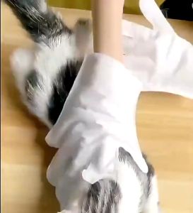 Little.Daisy98 ถุงมือทำความสะ สุนัขและแมว อาดสัตว์เลี้ยงแบบใช้แล้วทิ้ง น้ำยาดับกลิ่นอาบน้ำ