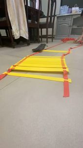 Agility Ladder Drills Tangga Training Kelincahan 8M 16 Tangga