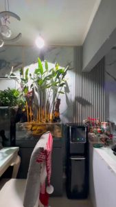 BioPristine Lampu Canister View Lamp - Lampu LED Sorot Aquarium Aquascape Kolam Ikan