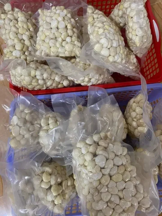 Macca nhân tách vỏ đã sấy 500g làm sữa hạt, ngũ cốc, vận chuyển dễ dàng, hạt Daklak organic