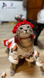 ชุดหิมะ ชุดตรุษจีนแมว ชู้ตรุษจีนสุนัข ตรู้สูง สำหรับแมว Ji Pets Collar
